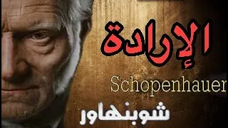 الفلسفة بالدارجة شوبنهاور العالم إرادة وتمثل الحب والعلاقات 