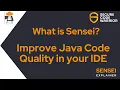 What is Sensei Overview Demo