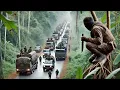 Download Lagu 2024 Action Movie:Chinese martial arts master lurks like a phantom in the forest,ambushing criminals