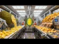 Lagu Inside the Jackfruit Snack Factory: From Amazing Thai Food Farming to Jackfruit Snack (Full Process)