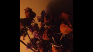 vhs ghost flowers sub espa ol u0026 lyrics