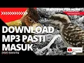 Download Lagu burung cucak jenggot rol nembak vs burung pelatuk beras sampit gacor dor fighter | Mastering 3D