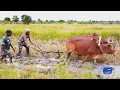 Download Lagu Nyanda masome Shida official Video