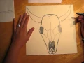 Drawing a Bull Skull