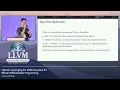 2022 LLVM Dev Mtg LAGrad Leveraging the MLIR Ecosystem for Efficient Differentiable Programming