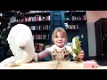 Narwhal eating a bagel Party Animals!!!