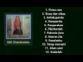 Download Lagu Full Album - Tetap menanti - om chandralela.