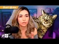 This Streamer Threw Her Cat