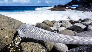 Turn saltwater into freshwater