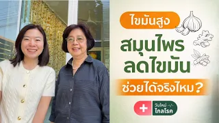 ขมิ้นและกระเทียมดำช่วยลดไขมันได้อย่างไร และมีข้อควรระวังอะไรบ้าง
