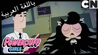 فتيات القوة السكر التوابل والقمل الكبير كرتون نتورك دندنها