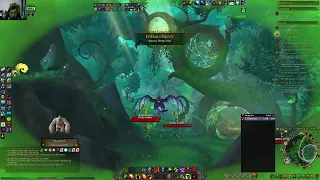 world of warcraft doing amirdrassil questline birthing little dryad