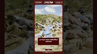 لحظة إتلاف كميات كبيرة من المخدرات دندنها