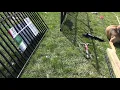 Grand Empire Panel Fence Set Up