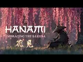 Download Lagu HANAMI - Japanese Zen Ambient Music Under the Sakura Blossoms (花見)