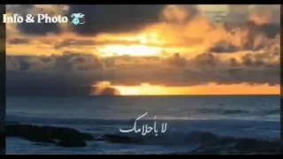 لا بأحلامك لا بأوهامك رح ترجع يوم تلاقيني جوليا بطرس   حالات واتس اب مقاطع قصيرة دندنها