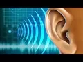 Download Lagu Música para Estudiar, Concentrarse y Memorizar Rápido ☯ Ondas Alfa ☯ Música Relajante