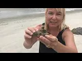 Take this not that Learn what can be removed from a Hilton Head beach
