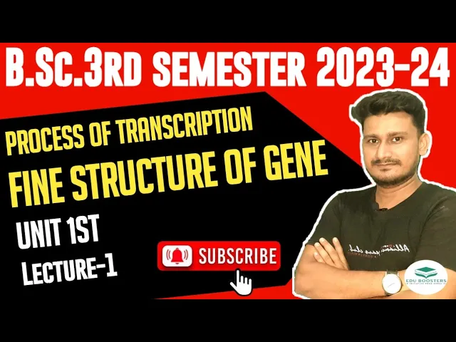 Structure of gene B.Sc 3rd semester | fine Structure of gene | Process of Transcription