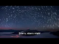 Don McLean【Vincent】(Lyrics MV)(1080p)