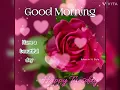 Good Morning Happy Tuesday gif WhatsApp Status Good Morning Images Tuesday Wishes