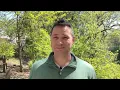 How Connecticut s weather affects spring allergies Discover with Dan