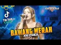 Download Lagu BAWANG MERAH Viral Tiktok - KIKI RYANZA || CAKRAWALA MUSIC