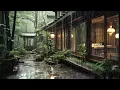 【3M】 The Best Lullaby Sound of Rain in a forest🌳