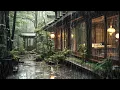【3M】The Best Lullaby Sound of Rain in a forest🌳