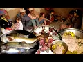 Download Lagu dharme's son takes fish for guests for curry in their farm house from the local village river