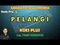Lagu Pelangi Koes Plus karaoke Nostalgia Indonesia