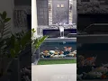 Download Lagu ide #homedecor  kolam ikan dirumah.
