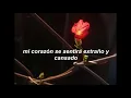 Life Letters (sub español - no glitch)