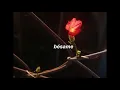 Download Lagu Life Letters (sub español - no glitch)