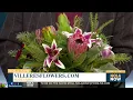 Villeres Florist Christmas decor