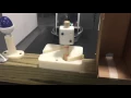 ME 446 Final Project Demo