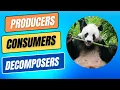 Ecosystems What are Producers Consumers Decomposers
