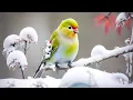 Download Lagu Самая красивая мелодия в мире! Восточная музыка! Музыка для лечения стресса! Слушать