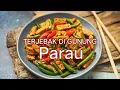 Download Lagu Masak Sambil Cerita Horror Terjebak Di Gunung Parau