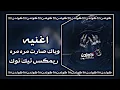 رعد الناصري | عشرتي وياك صارت مره مرت | ريمكس | تيك توك