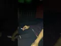 Download Lagu Yang penting ga karuan dah .. ..DJ Dronk ..jakarta selatan .