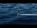 SZA - Far (Audio)