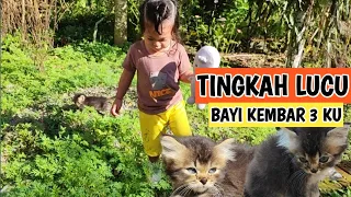 Download TINGKAH LUCU BAYI KEMBAR 3 KU @miumeow MP3