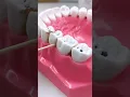 How to clean your teeth like a dentist at home 295 MaviGadgets Tooth Cleaning Kit