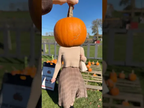 POV: Taking My Wife on a Fall Date ππ€ #shorts