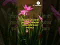 Download Lagu ठोकर इसलिए लगती है कि इंसान संभल जाए #shorts #success #motivation #status #viral #trend #truelines