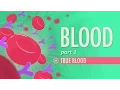 Download Lagu Blood, Part 1 - True Blood: Crash Course Anatomy \u0026 Physiology #29