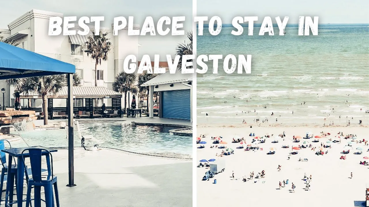 Courtyard by Marriott Galveston Island | Great place to stay for you cruise