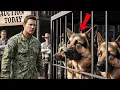 Lagu “I Will Take All These Retired K9 Dogs,” A Navy SEAL Said — No One Expected What Happened Next!