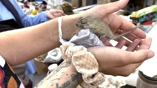 Episode 90 – Negotiations in Bizerte Marina in Tunisia!